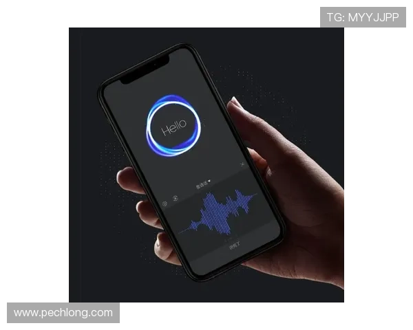 解密凯发登陆手机的技术支持，确保用户畅享稳定服务