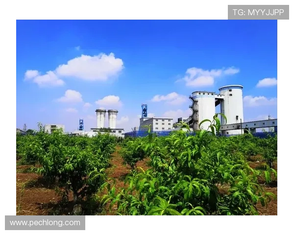 凯发娱乐官网手机版：创新技术保障用户信息安全，打造绿色健康的娱乐环境